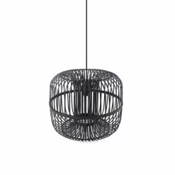 Sundown Small, Rottinkinen Musta Kattovalaisin, BY-BOO