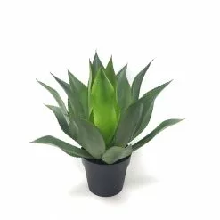 Iso Tekokasvi Purkissa