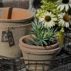 Natural Collections “sammaleinen” Rustiikki Saviruukku L -Keittiö myymälä File0608 1