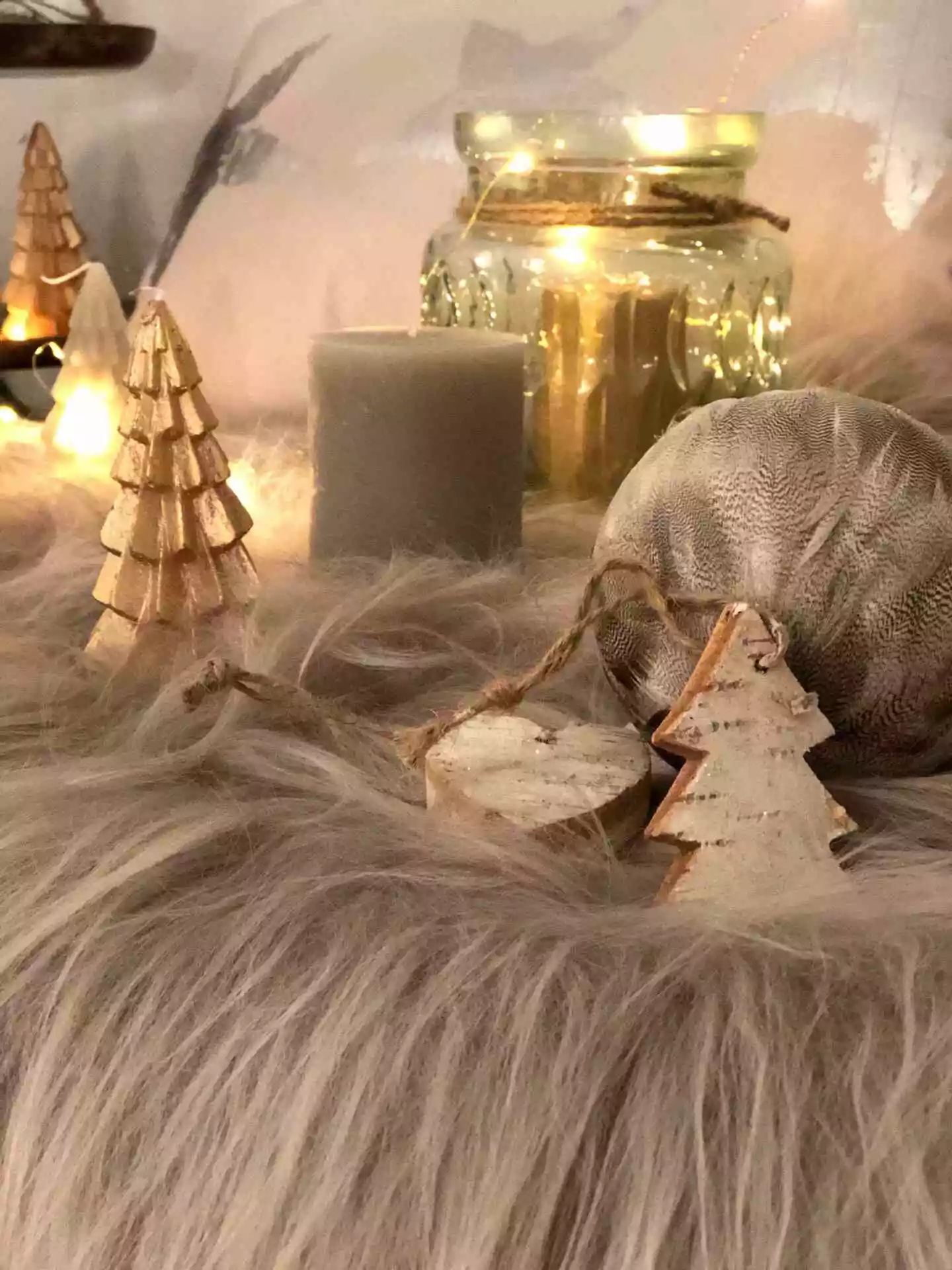 Islanninlampaantalja, Vaalea Blondi 3 Islanninlampaantalja, Vaalea Blondi - Image 3