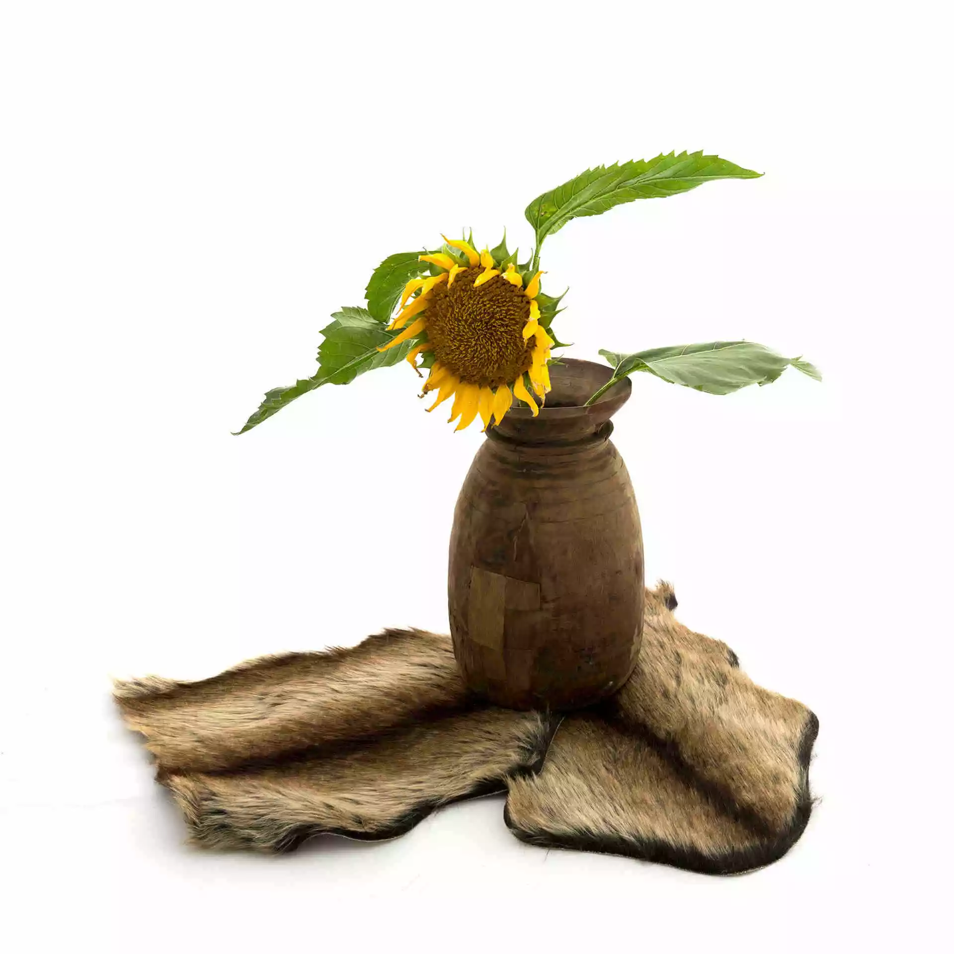 Natural Collections Keinotalja, Kani 4 Natural Collections Keinotalja, Kani - Image 4