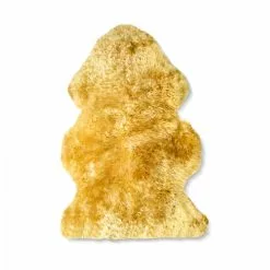 Edessä 13 Lampaantalja, Värjätty Keltainen