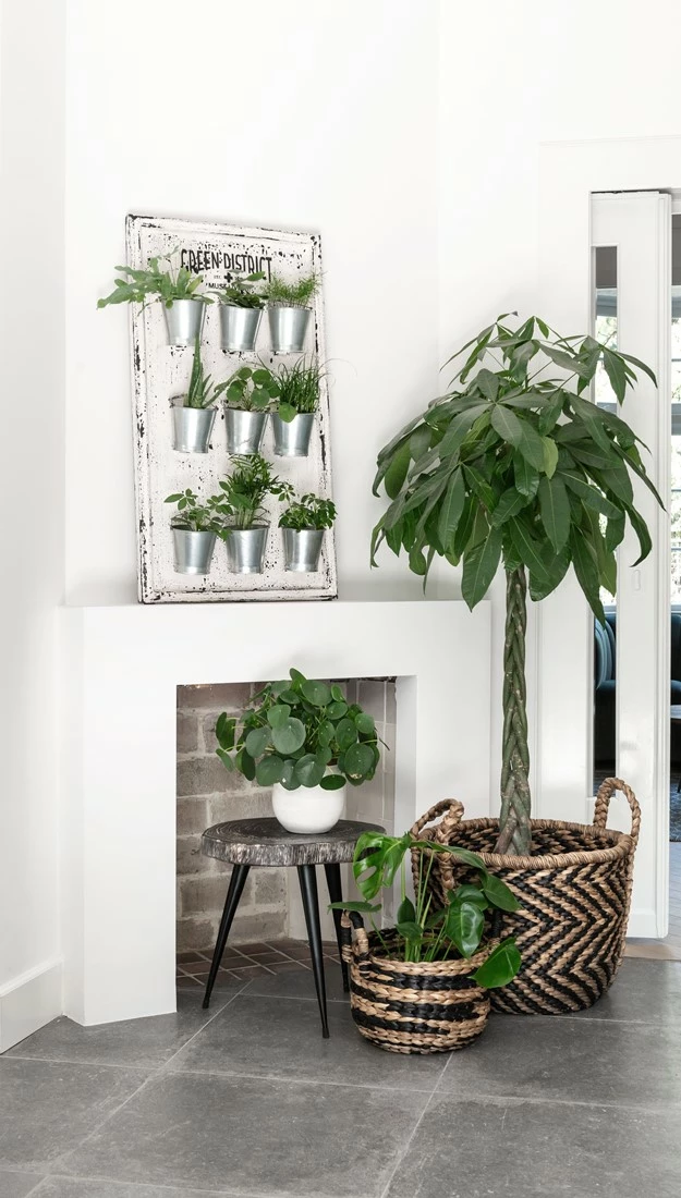 MUST LIVING Näyttävät Säilytyskorit, Pyöreät 2 MUST LIVING Näyttävät Säilytyskorit, Pyöreät - Image 2