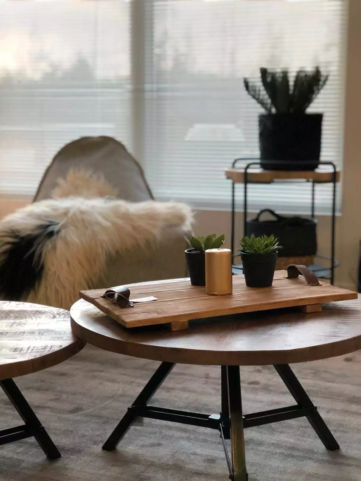 Islanninlampaantalja, Mustavalkoinen 3 Islanninlampaantalja, Mustavalkoinen - Image 3