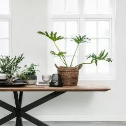 Timeless Curves Tiikkipuinen Ruokapöytä 210×100 -Keittiö myymälä dinig4 e1618331072462 1