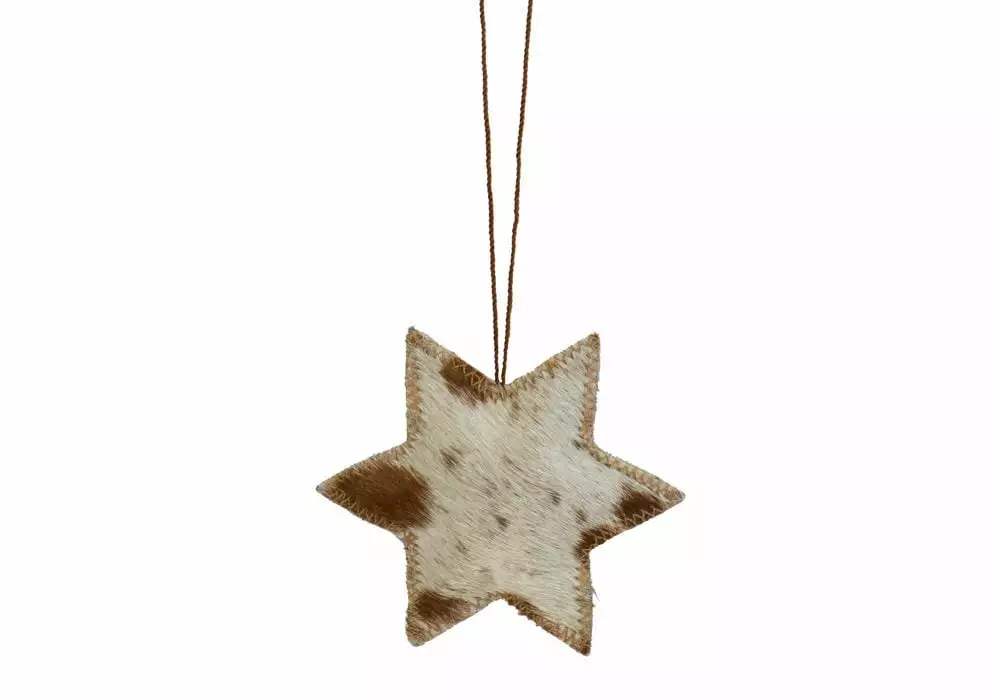 Koriste, Tähti Lehmäntaljasta 1 Koriste, Tähti Lehmäntaljasta