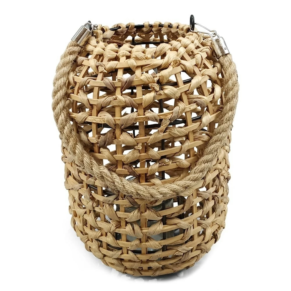 Punottu Lyhty, Vesihyasinttiä 1 Punottu Lyhty, Vesihyasinttiä