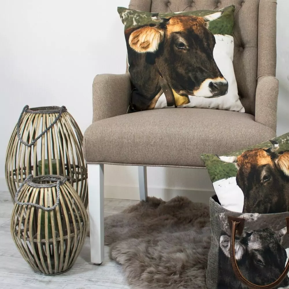 Ruskea Islanninlampaantalja 2 Ruskea Islanninlampaantalja - Image 2