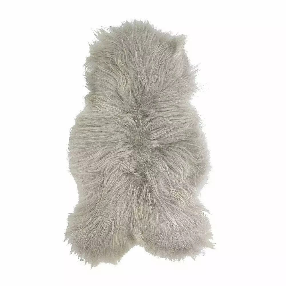 Islanninlampaantalja, Vaalea Blondi 1 Islanninlampaantalja, Vaalea Blondi